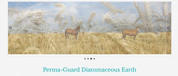 Tierra de Diatomeas Grado Alimenticio (Food Grade). Saco de 22.50 Kilos
