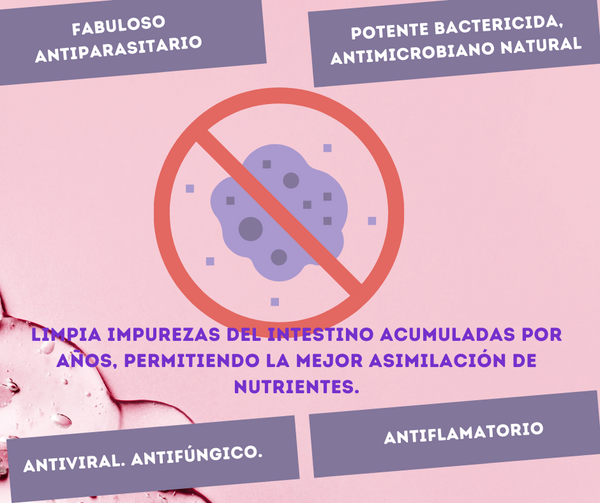 Tierra de Diatomeas Grado Alimenticio. 1 Kilo. Consumo Humano. Orgánica importada de EEUU